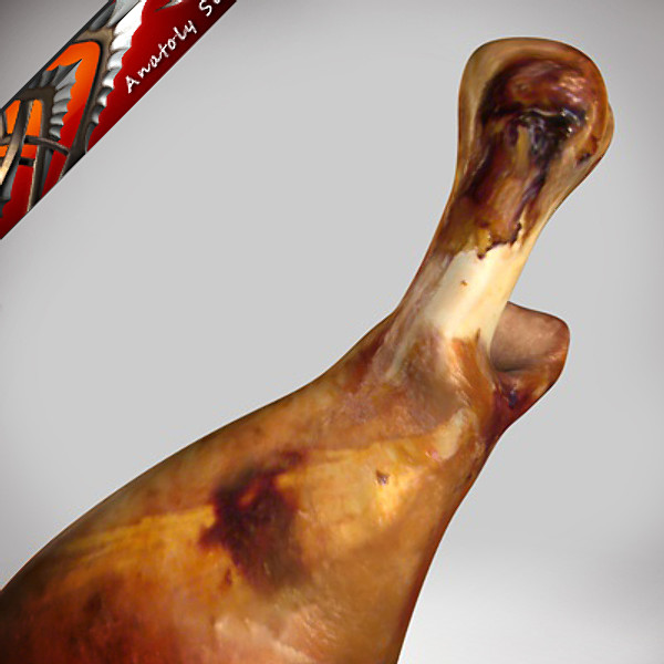 roasted turkey leg max - Turkey leg meat by CG ARTStudio